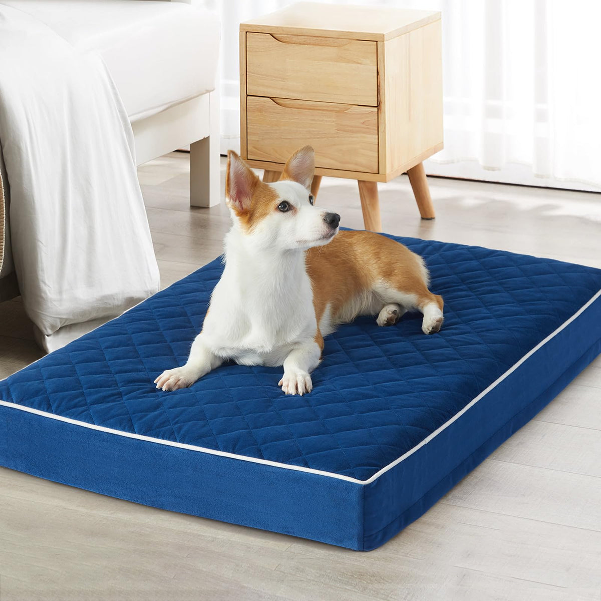 Cama ortopédica WNPETHOME, superficie de terciopelo para mayor confort nocturno.