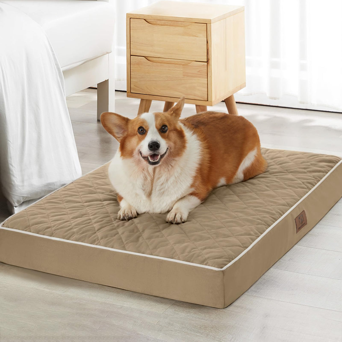 Cama ortopédica XXL WNPETHOME, terciopelo suave para descanso cómodo.