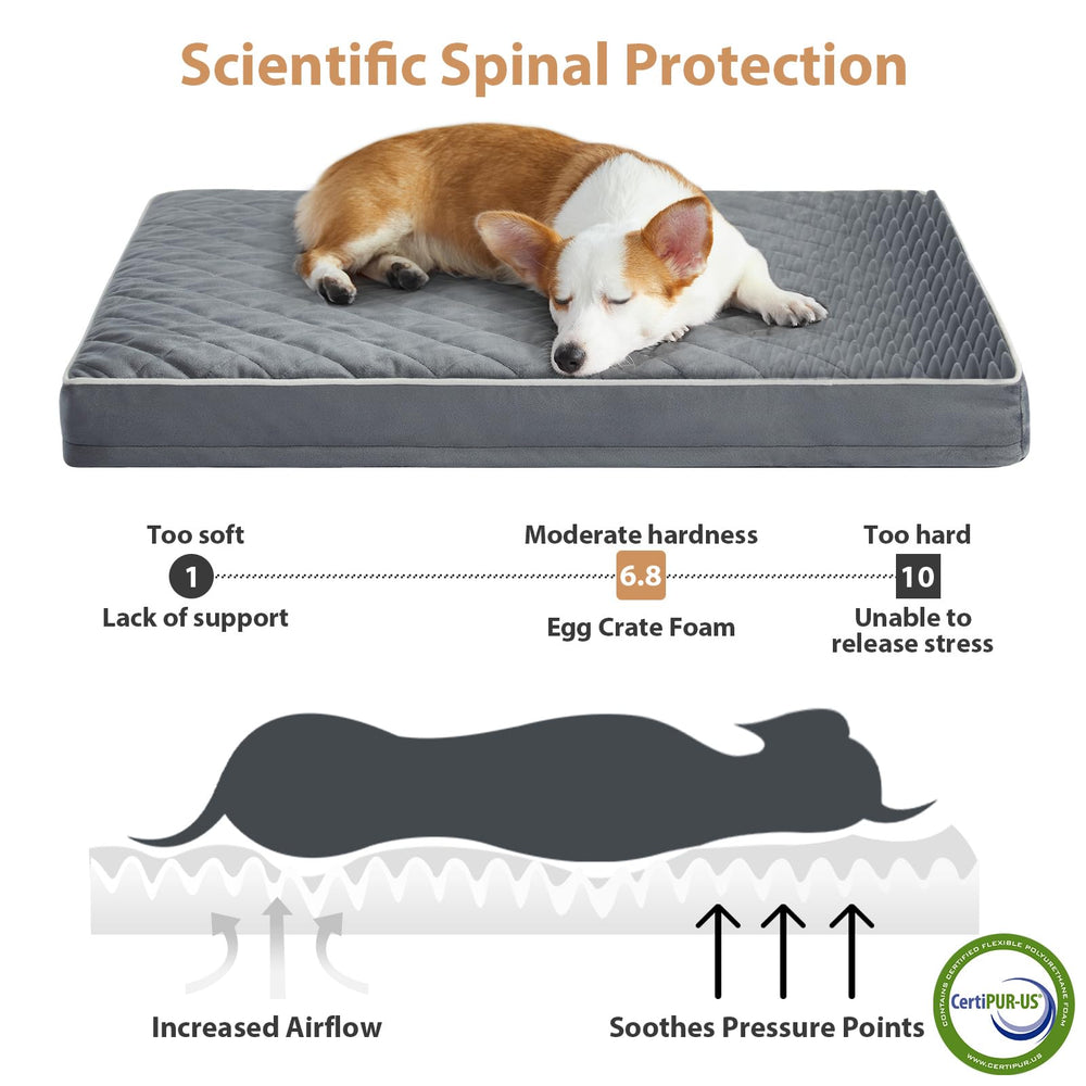 Espuma ortopédica alveolar de WNPETHOME para soporte y estabilidad.