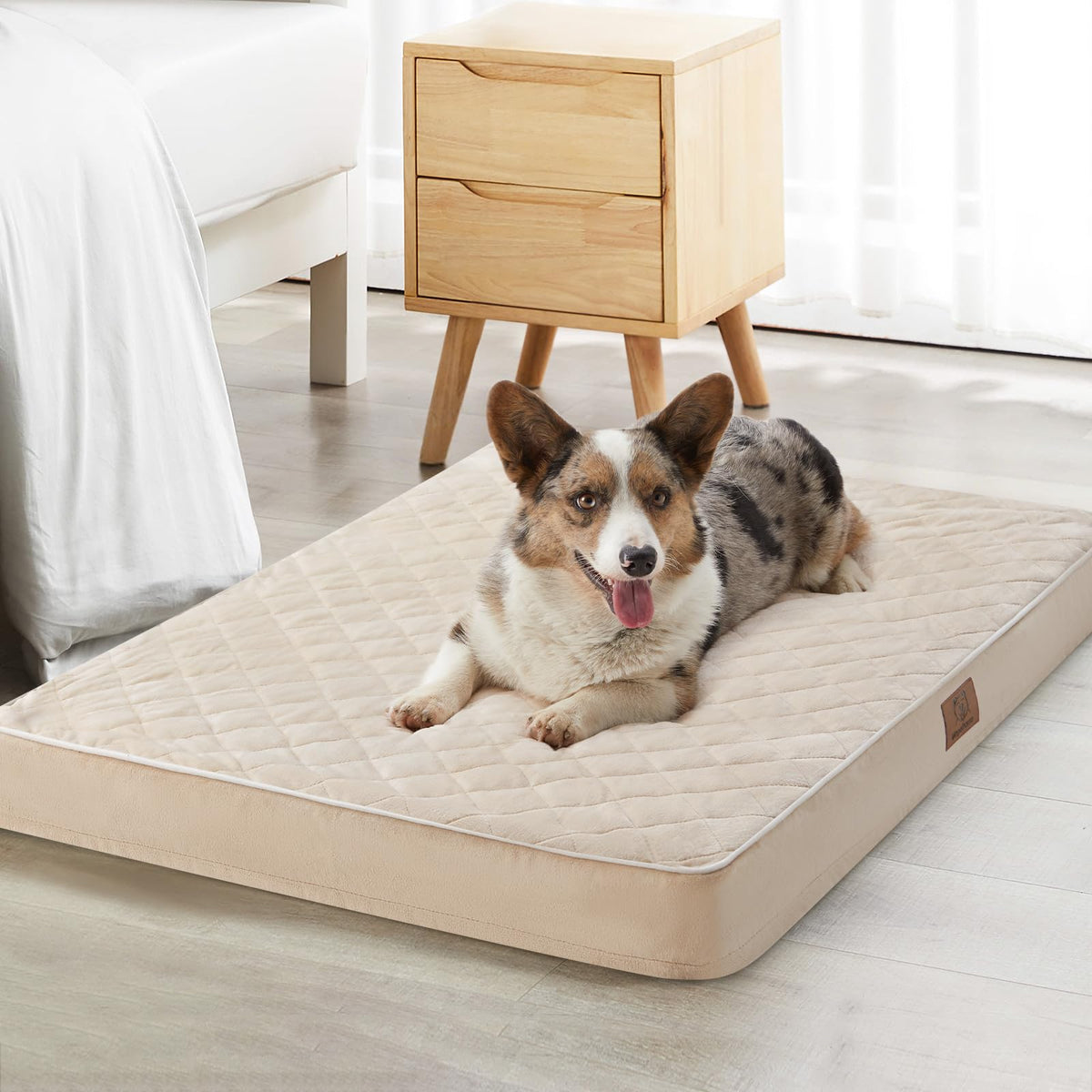 WNPETHOME Cama para perro con superficie de terciopelo acolchada para mayor comodidad.