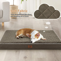 WNPETHOME: funda desmontable con cremallera en L para limpieza.