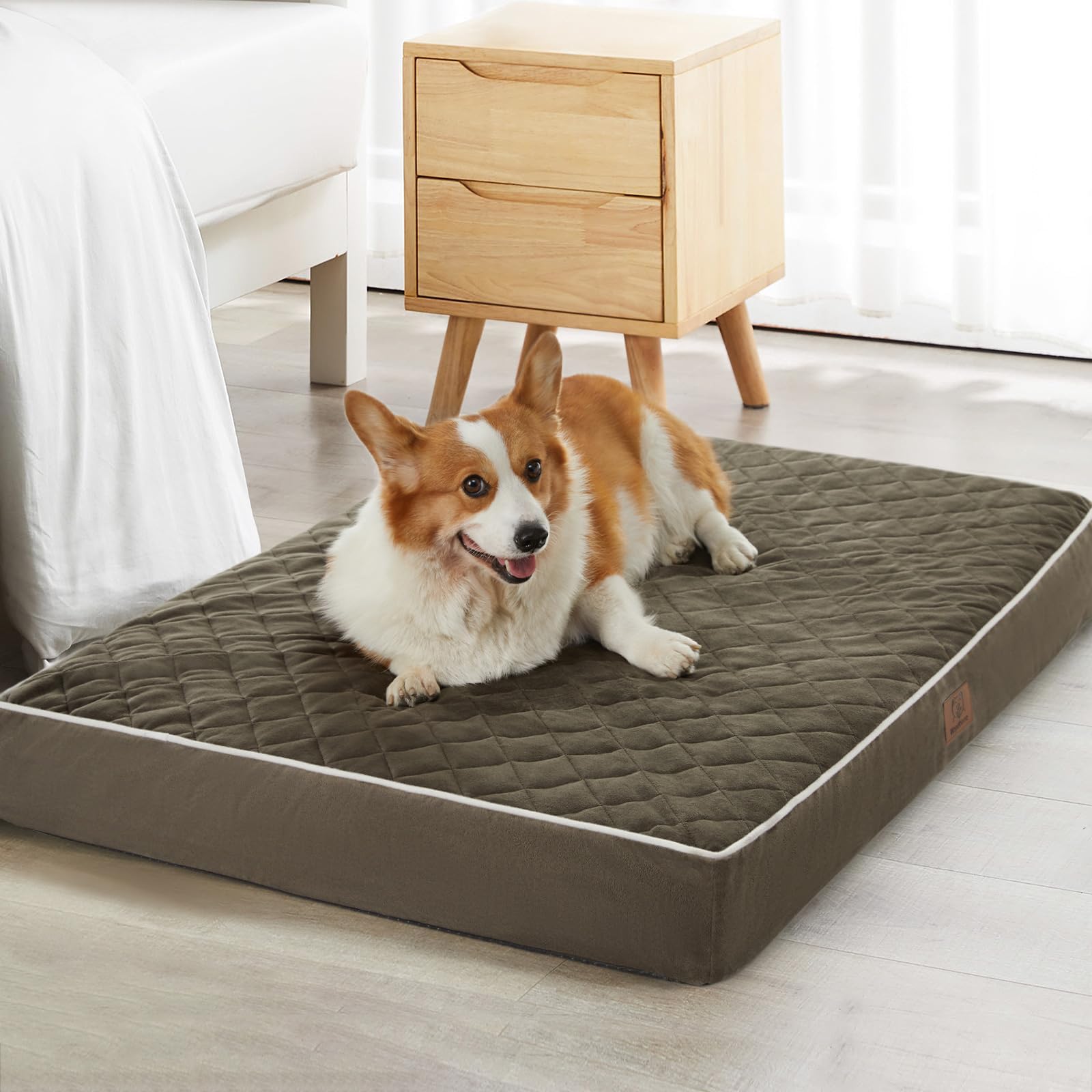 WNPETHOME: cama para perros XL con superficie de terciopelo suave para mayor comodidad.