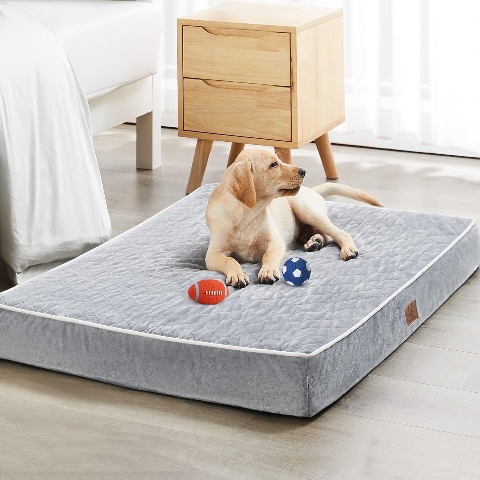 WNPETHOME XL cama para perro con superficie de terciopelo suave para confort