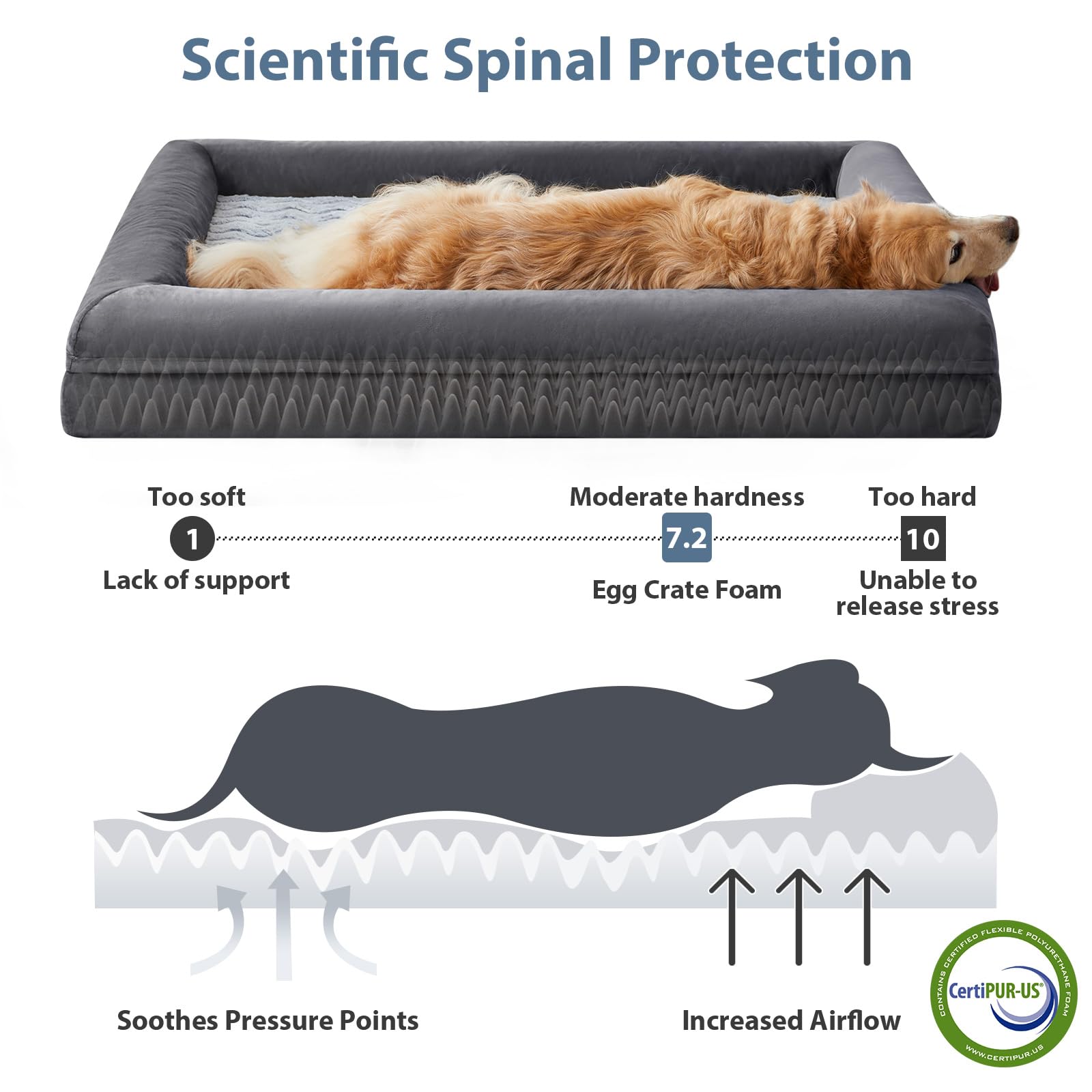 WNPETHOME cama XXL, base impermeable y antideslizante para estabilidad.