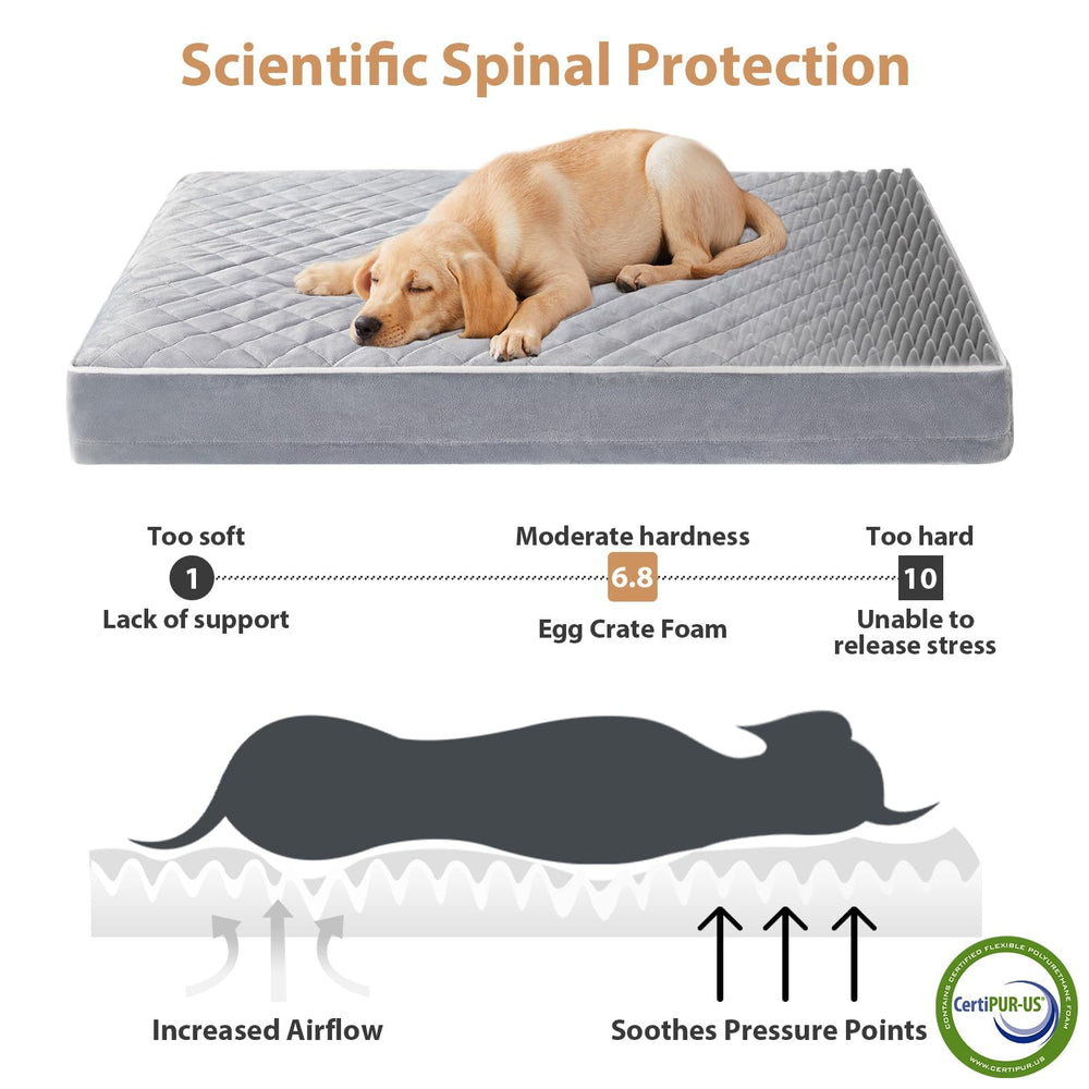 Base impermeable y antideslizante de la cama gigante para perros de WNPETHOME