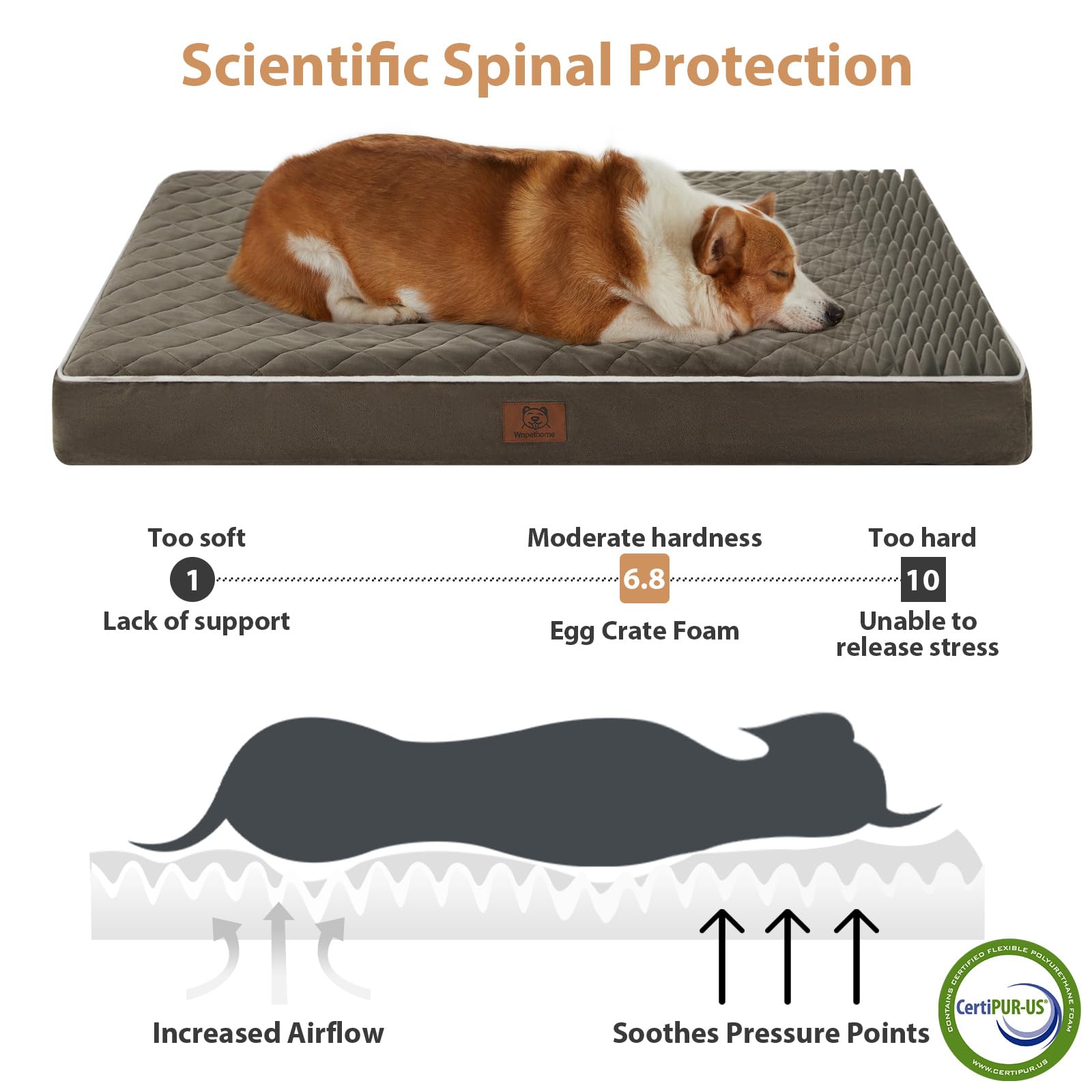 WNPETHOME cama perro con funda lavable para limpieza rápida.