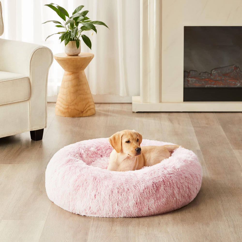 WNPETHOME lavable-a-maquina, limpieza rápida y sencilla.