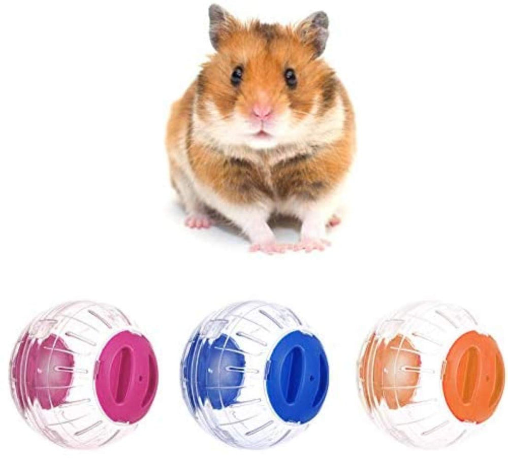 Accesorio de jaula para hámster: bola de ejercicio compacta WNZQK.