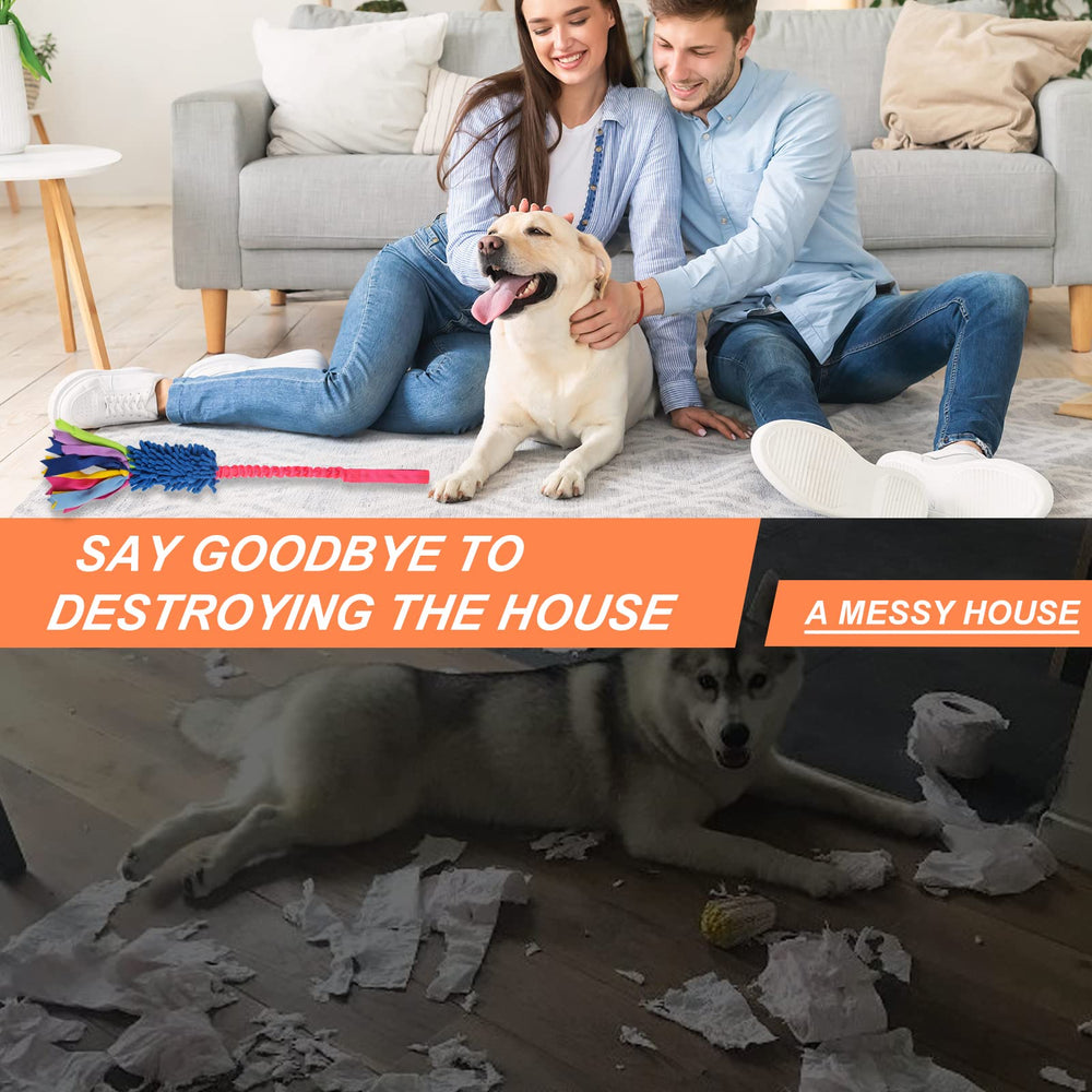 Jouet wodoca idéal comme cadeau pour chiens actifs.
