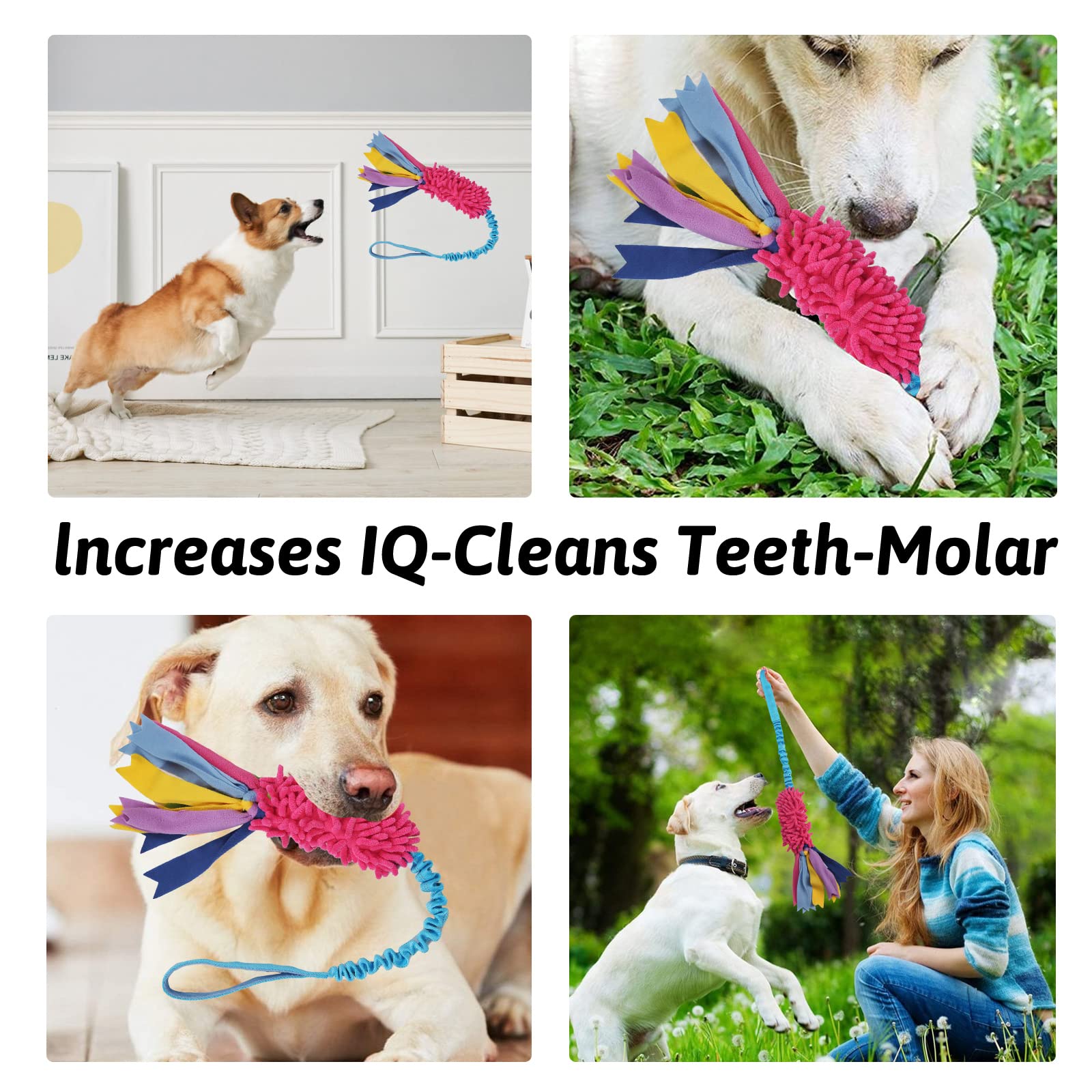 Wodoca jouet facile à nettoyer, hygiène simplifiée pour chiens actifs