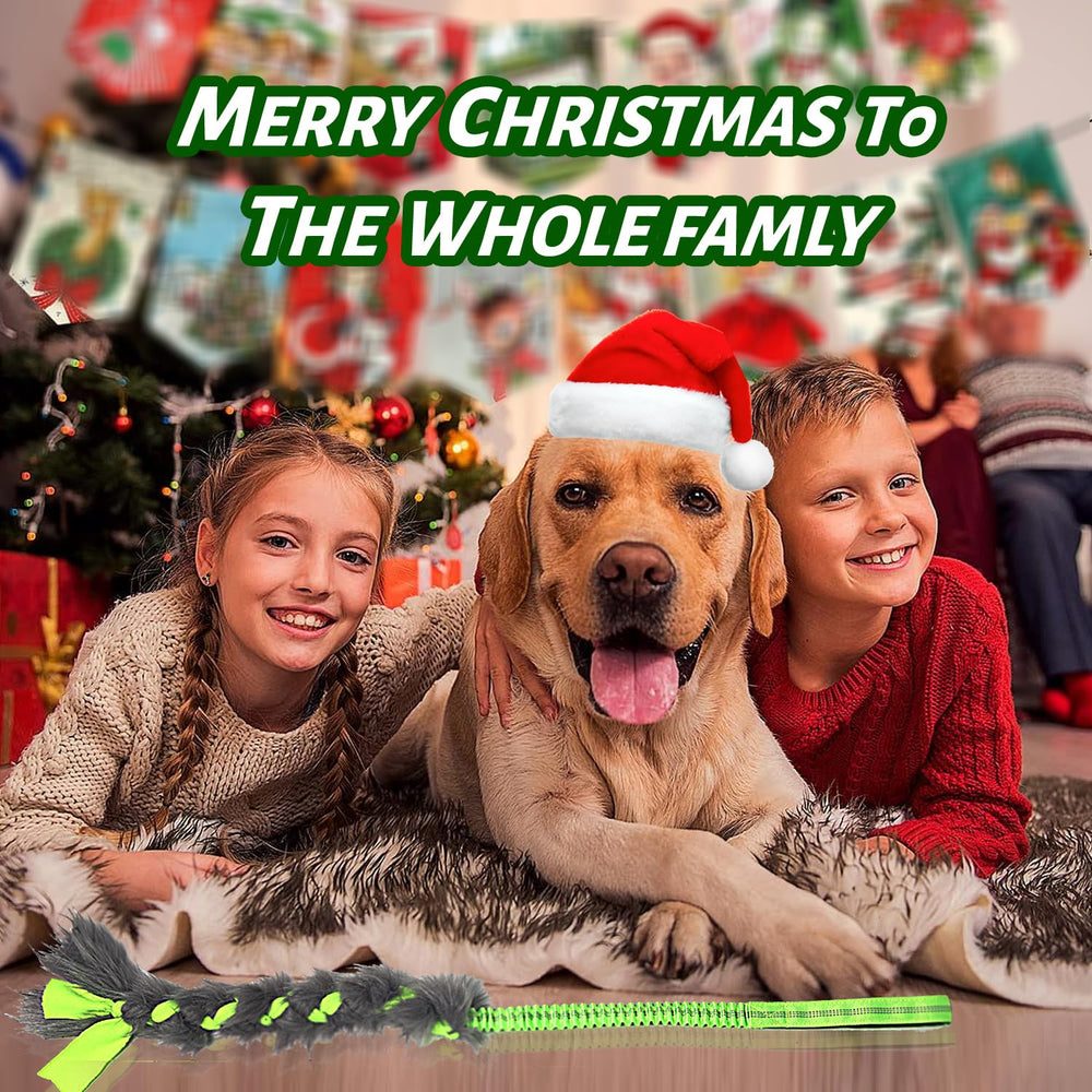 Regalo navideño wodoca para perros, ideal para entrenar