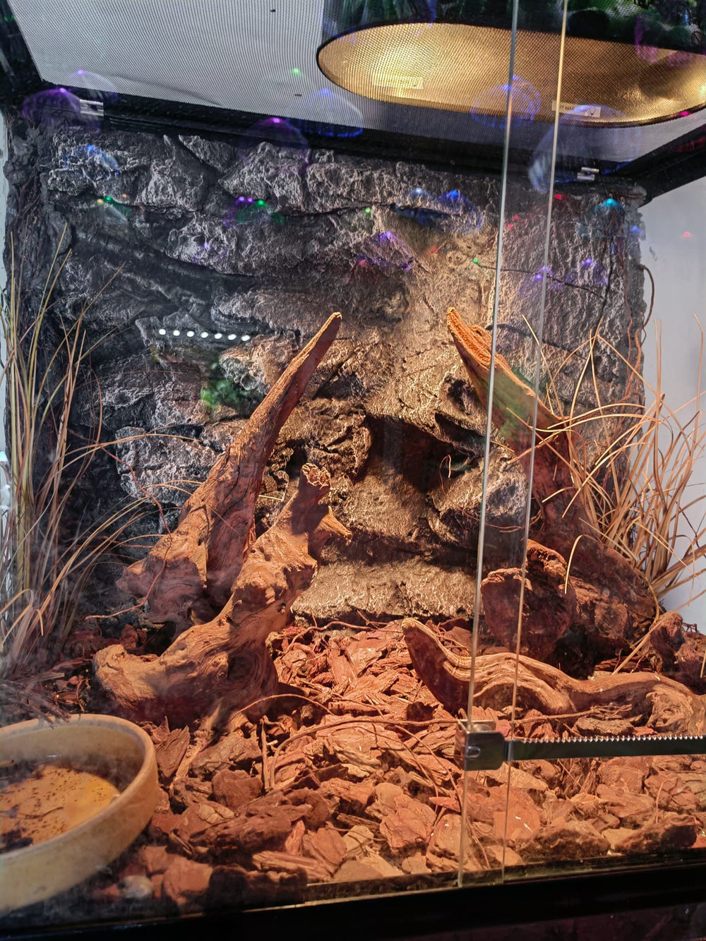 WOLEDOE ambiente natural para reptiles y anfibios, promueve un aspecto realista.