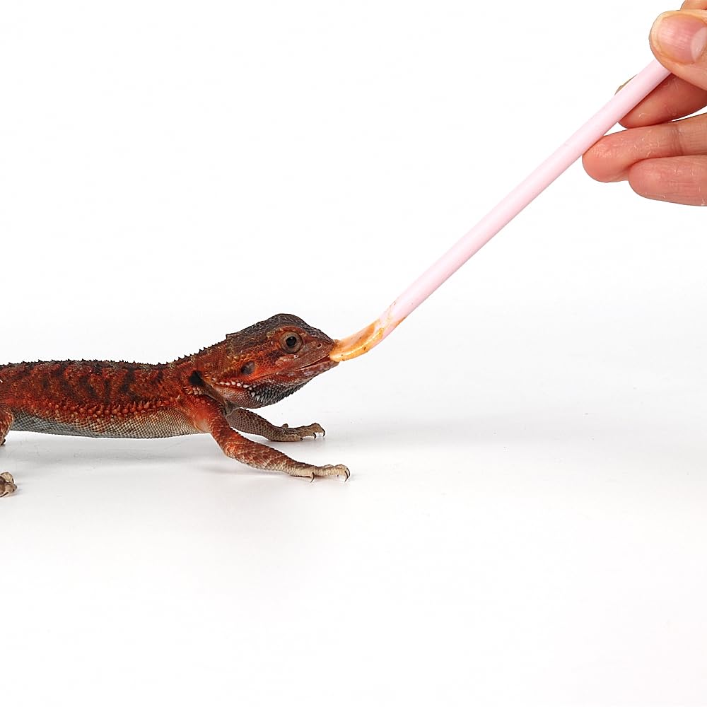 WOLEDOE limpieza rápida con agua, higiene sencilla tras cada uso.