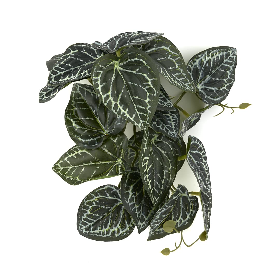 WOLEDOE plantas colgantes para terrario ofrecen color natural y instalación rápida.