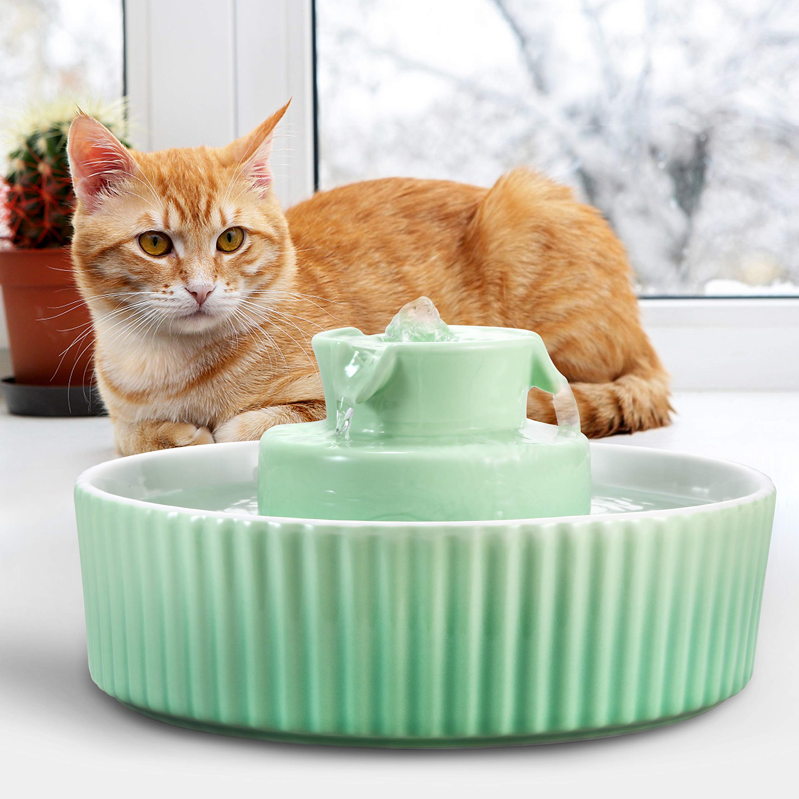 Wonder Creature Cupcake: solución multi-mascotas, ideal para hogares con varios animales.