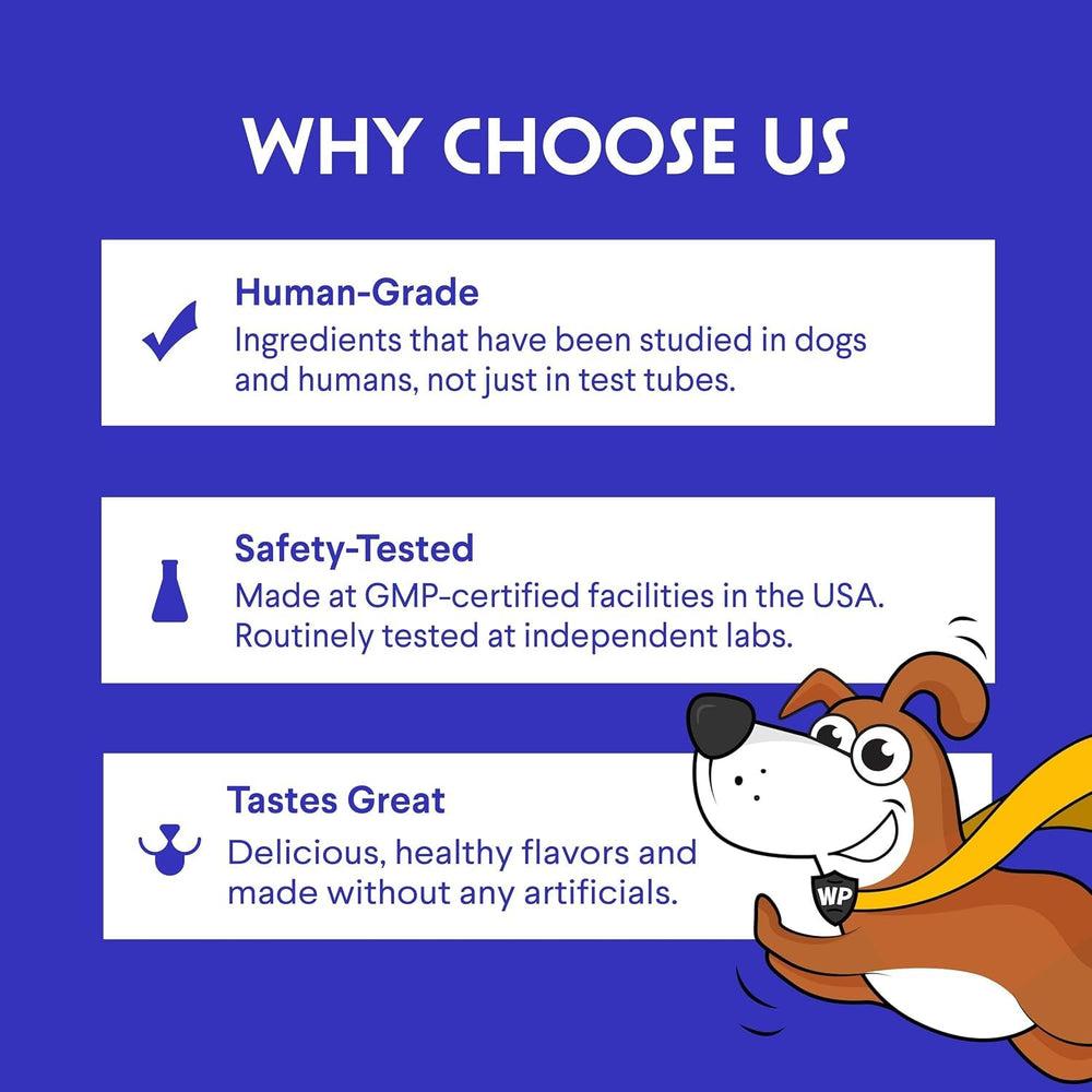 Wonder Paws Apoyo a articulaciones de perros, opción práctica para mascotas activas