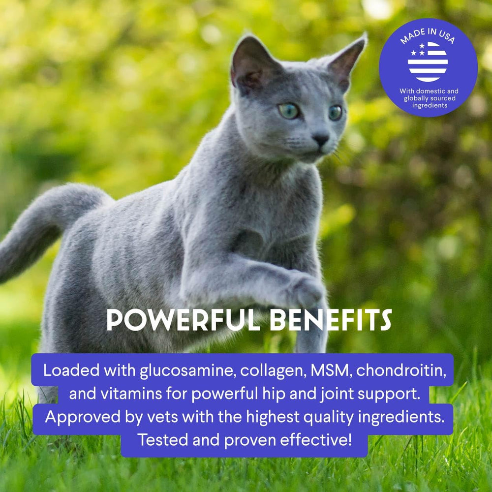 Sabores de pollo atractivos para gatos al usar Wonder Paws glucosamina líquida
