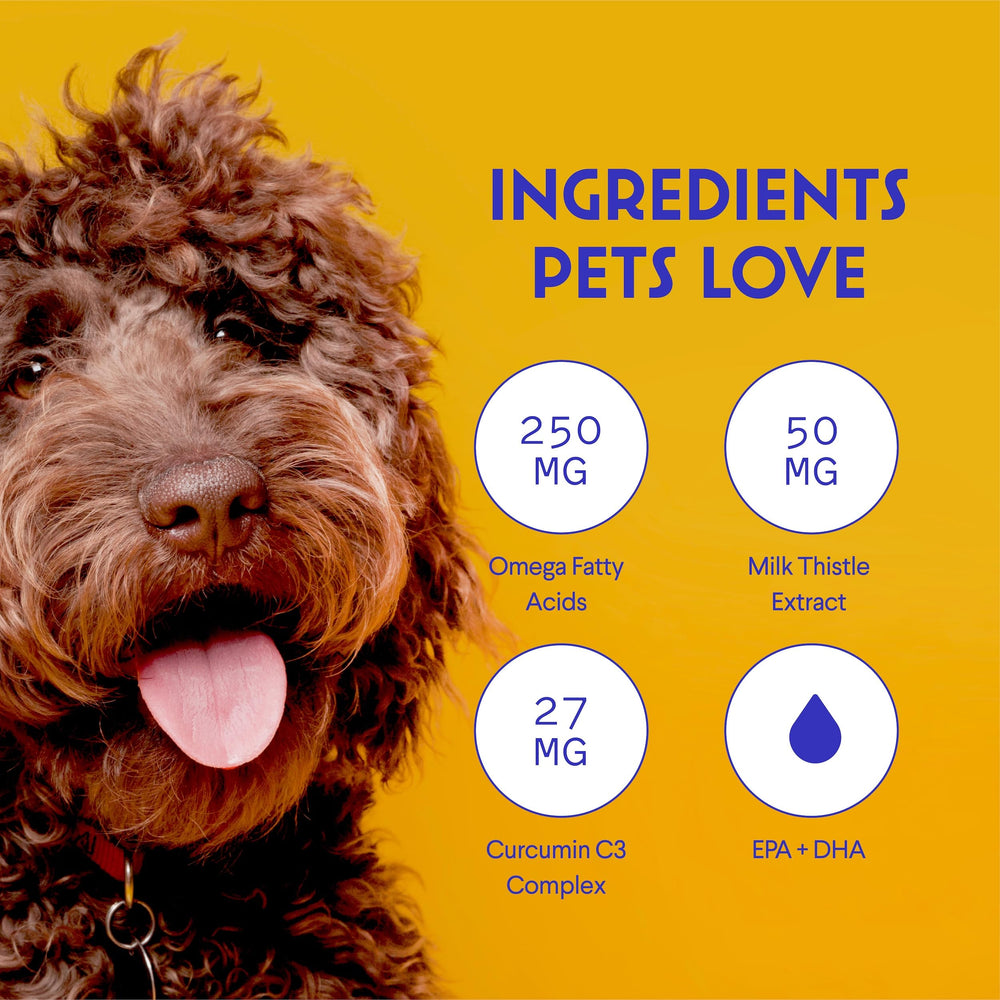 Wonder Paws mezcla en comida: fácil de añadir sin cápsulas