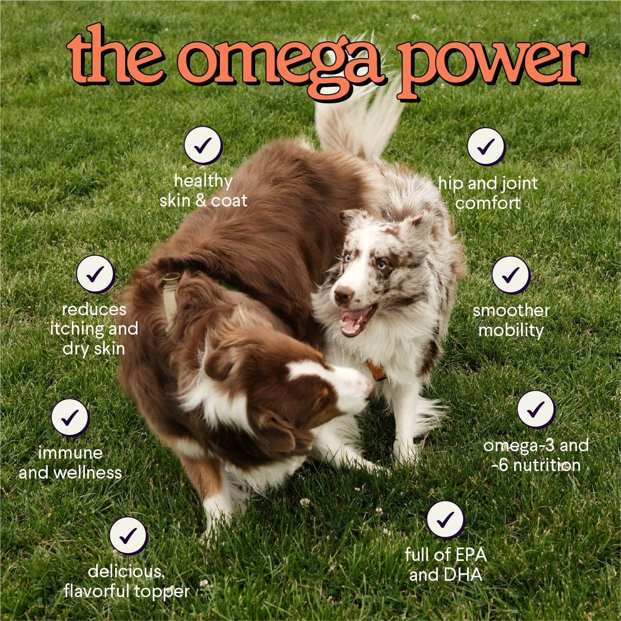 WONDER PAWS omega-3 para salud general de perros.