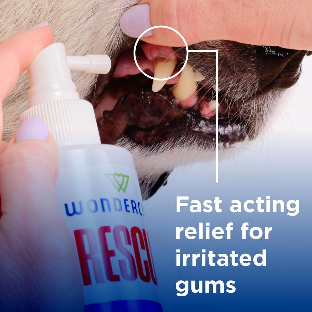 Aplicación precisa con boquilla extendida para encías, lengua y dientes de mascotas.