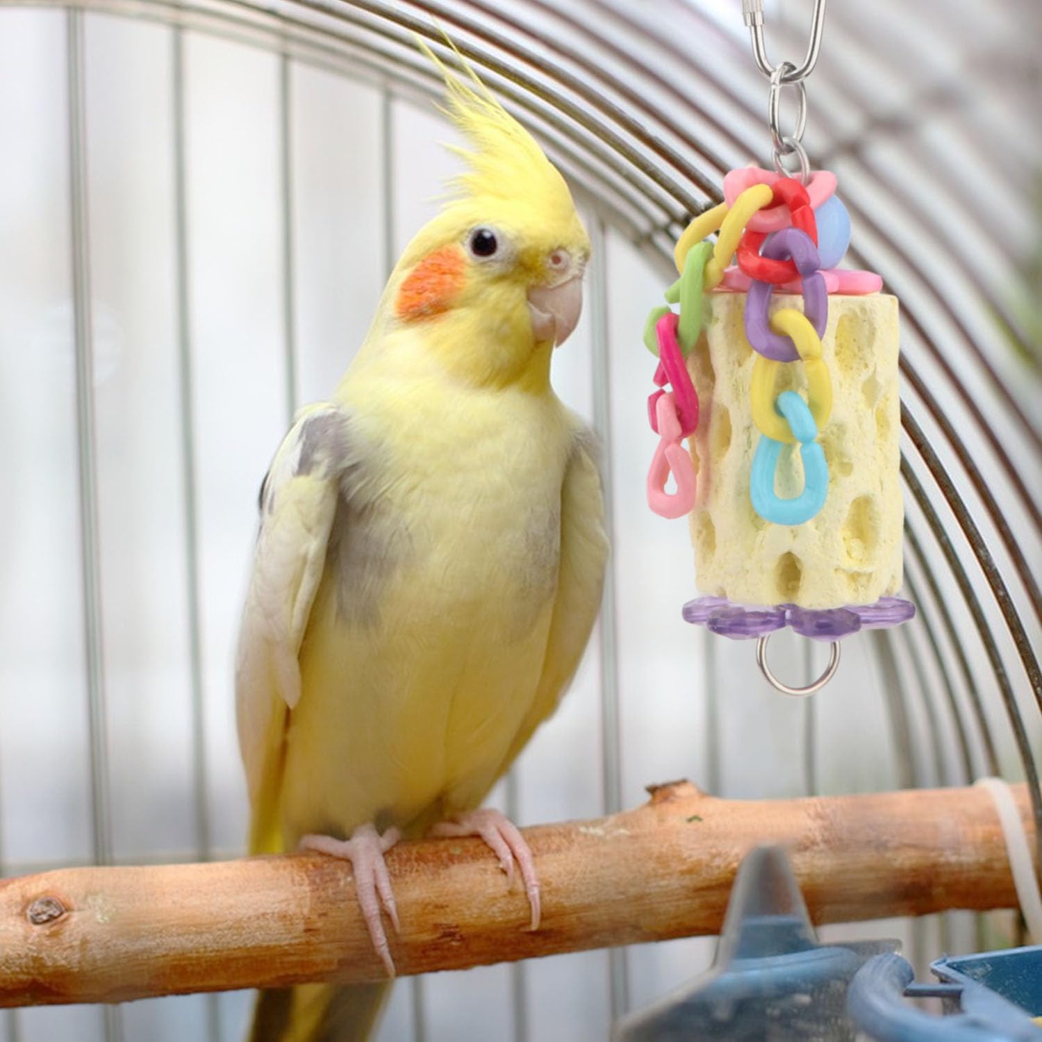 Wontee juguete-masticacion-ave-entretenimiento mantiene ocupadas a las aves curiosas.