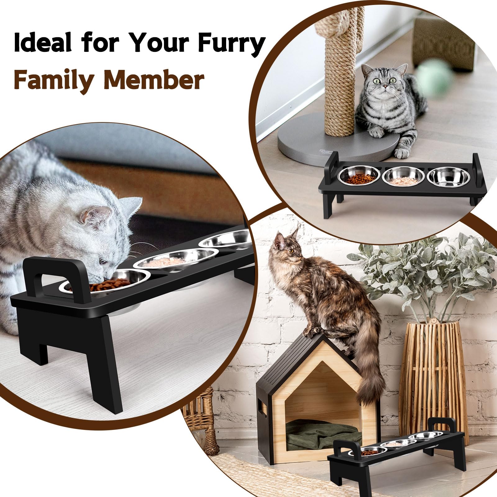 Woodever regalo moderno para amantes de gatos que cuidan su alimentación