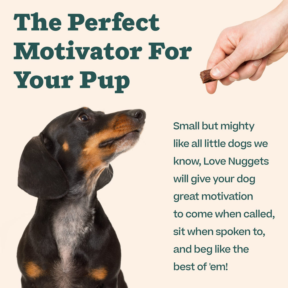 WOOF Love Nuggets outdoor-adventure scene supports training rewards on hikes
