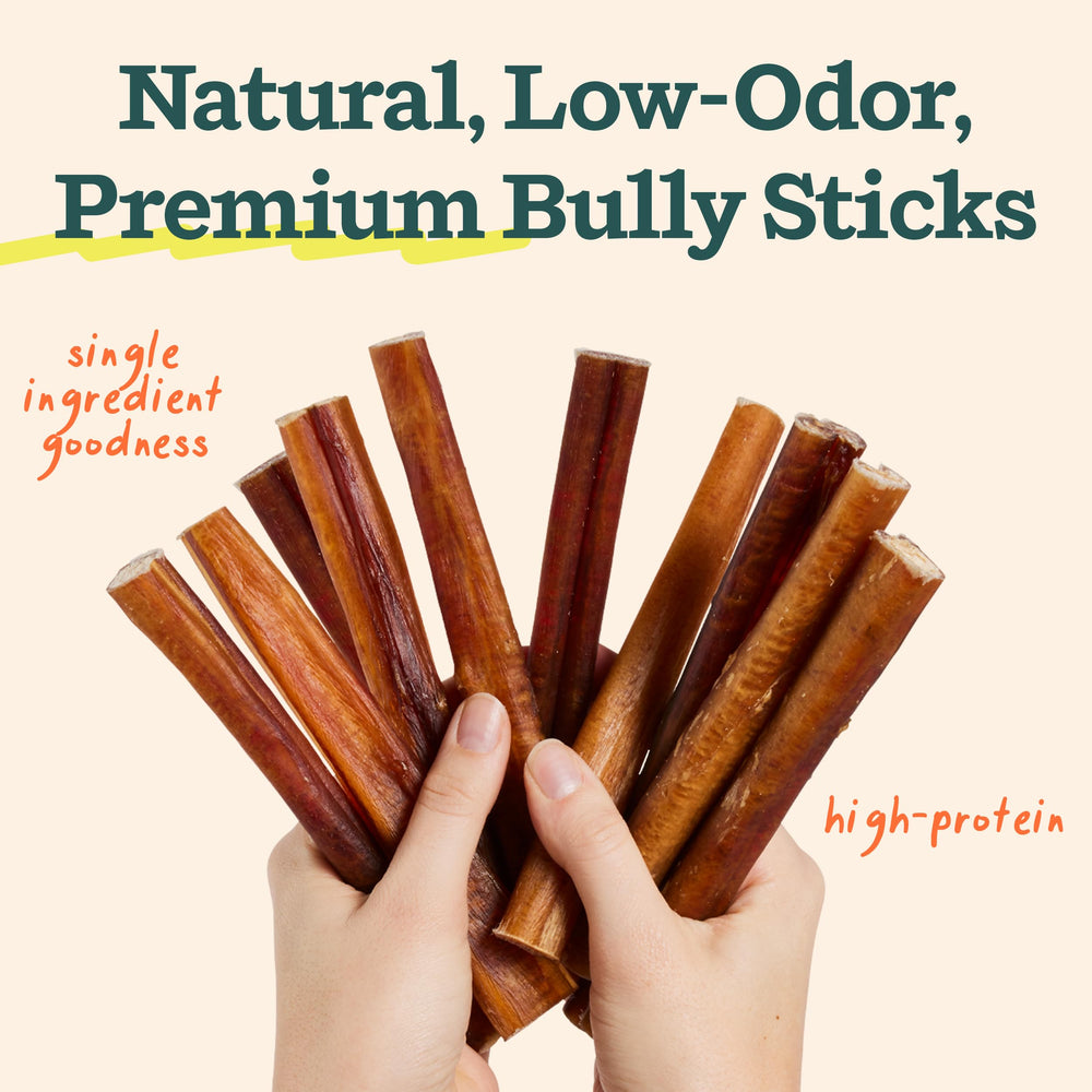 Palitos bully naturales de WOOF para masticar sabroso