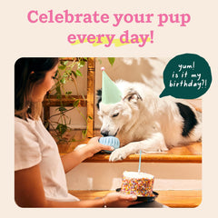 WOOF Party Pupsicle limpieza rápida durante la interacción diaria del perro.