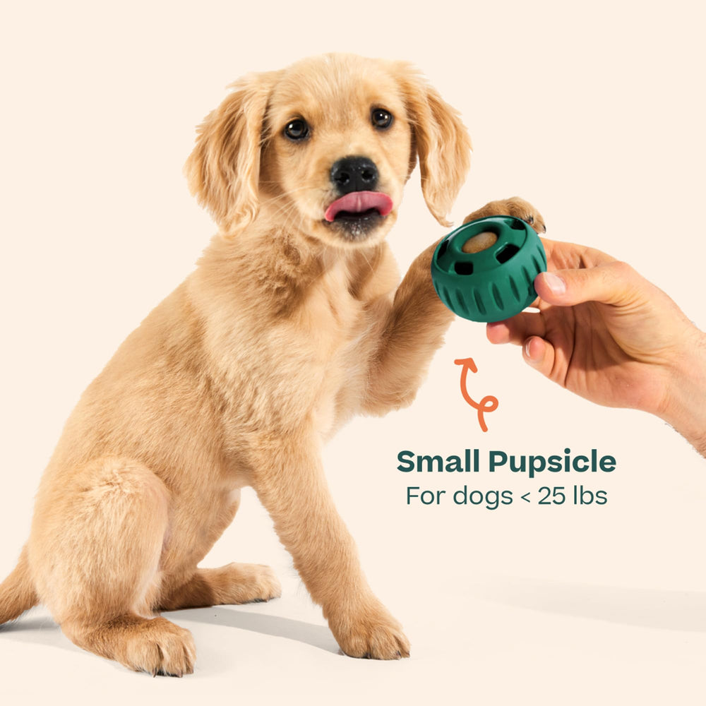 WOOF Pupsicle: ideal para perros pequeños entre 10 y 25 libras