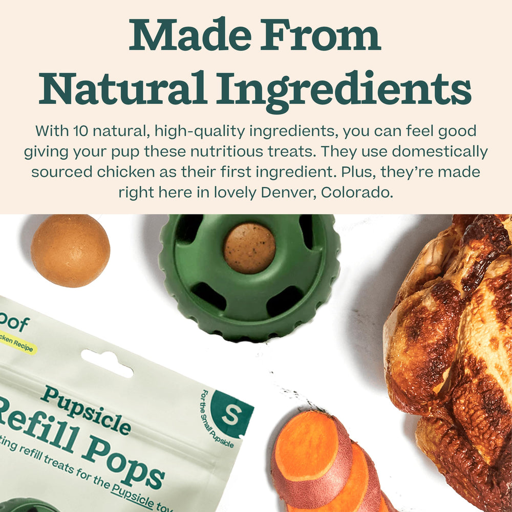 WOOF Pupsicle: ingredientes de calidad como pollo y cacahuete para tu perro.