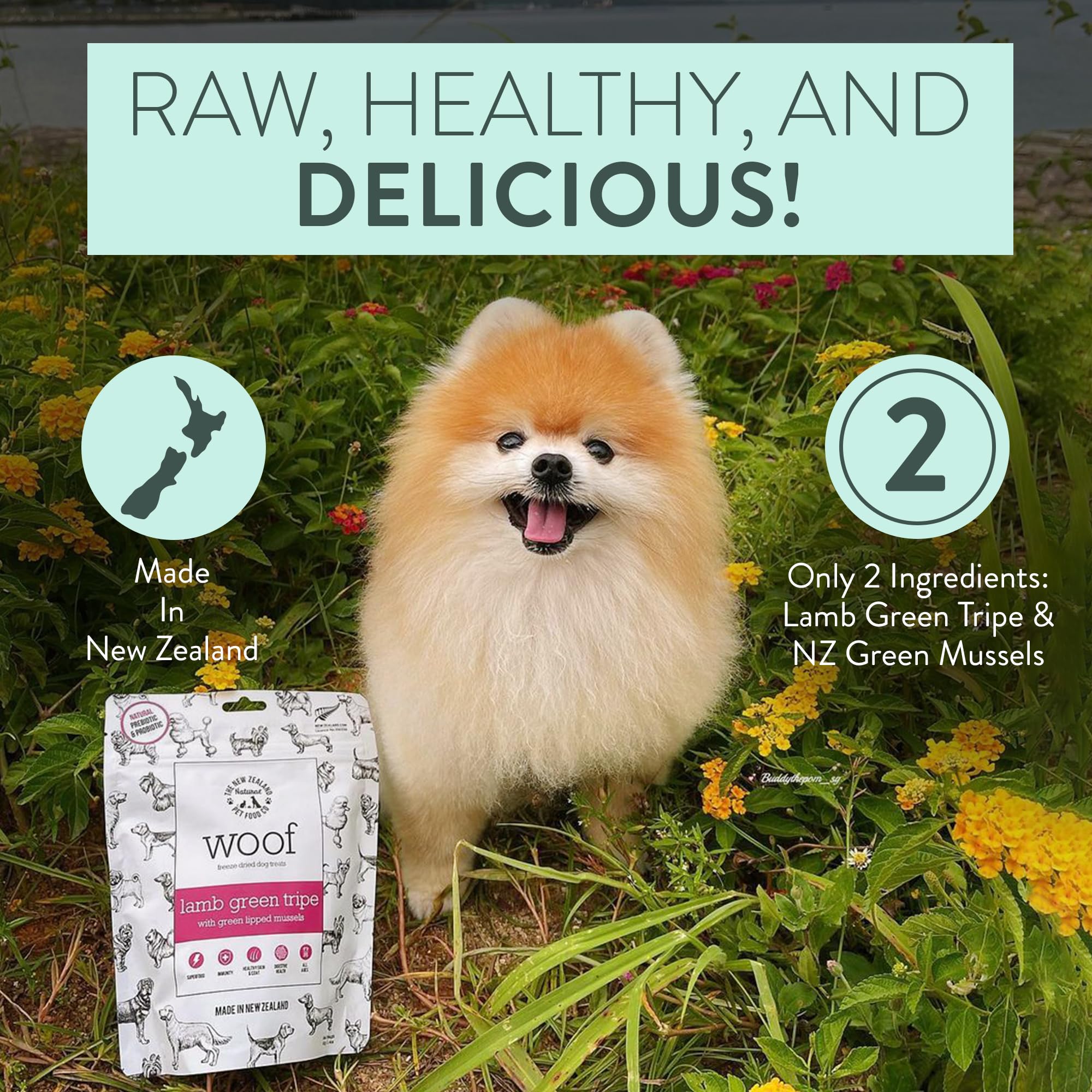 Format pratique 40 g de friandises WOOF pour usage quotidien.