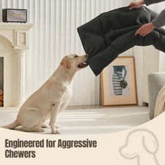WooPetty costuras reforzadas de la cama para perros, ideal para mordedores activos.