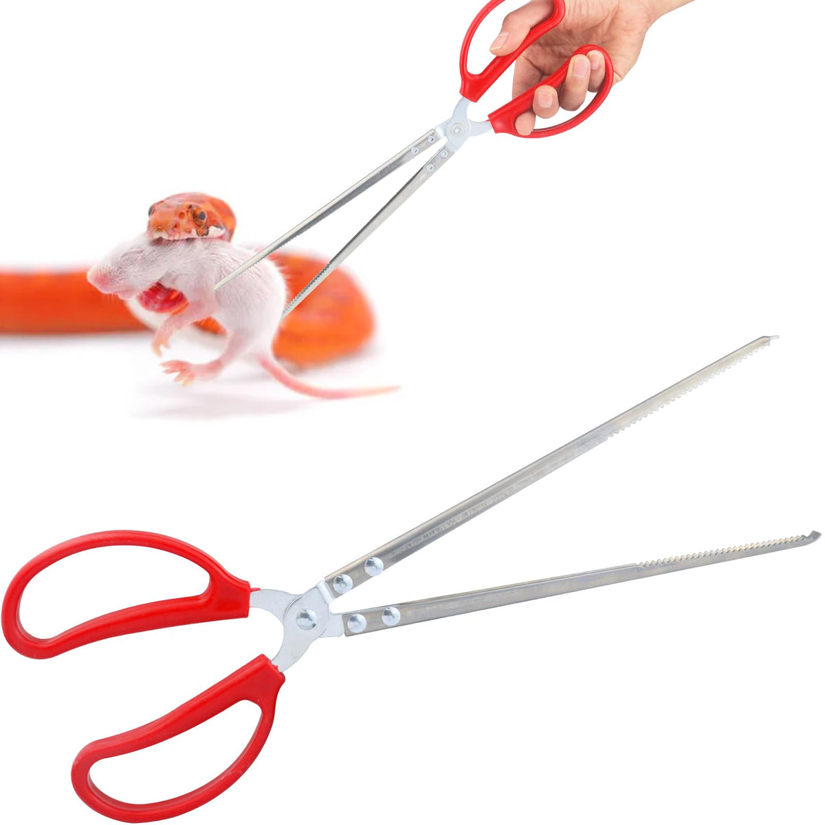 Pinzas WORFACE de 15 pulgadas con curva para un agarre seguro al alimentar serpientes.