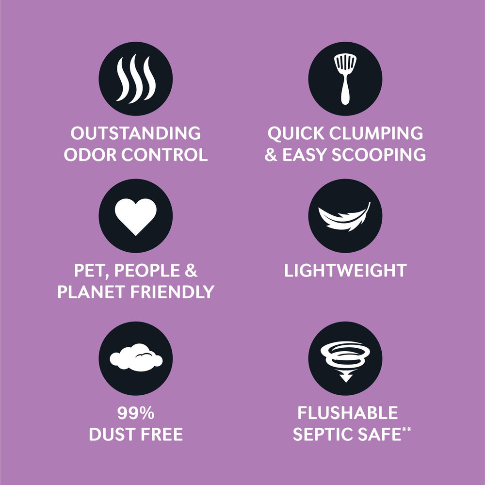 World's Best Cat Litter: control-olor-largo mantiene el espacio más agradable.