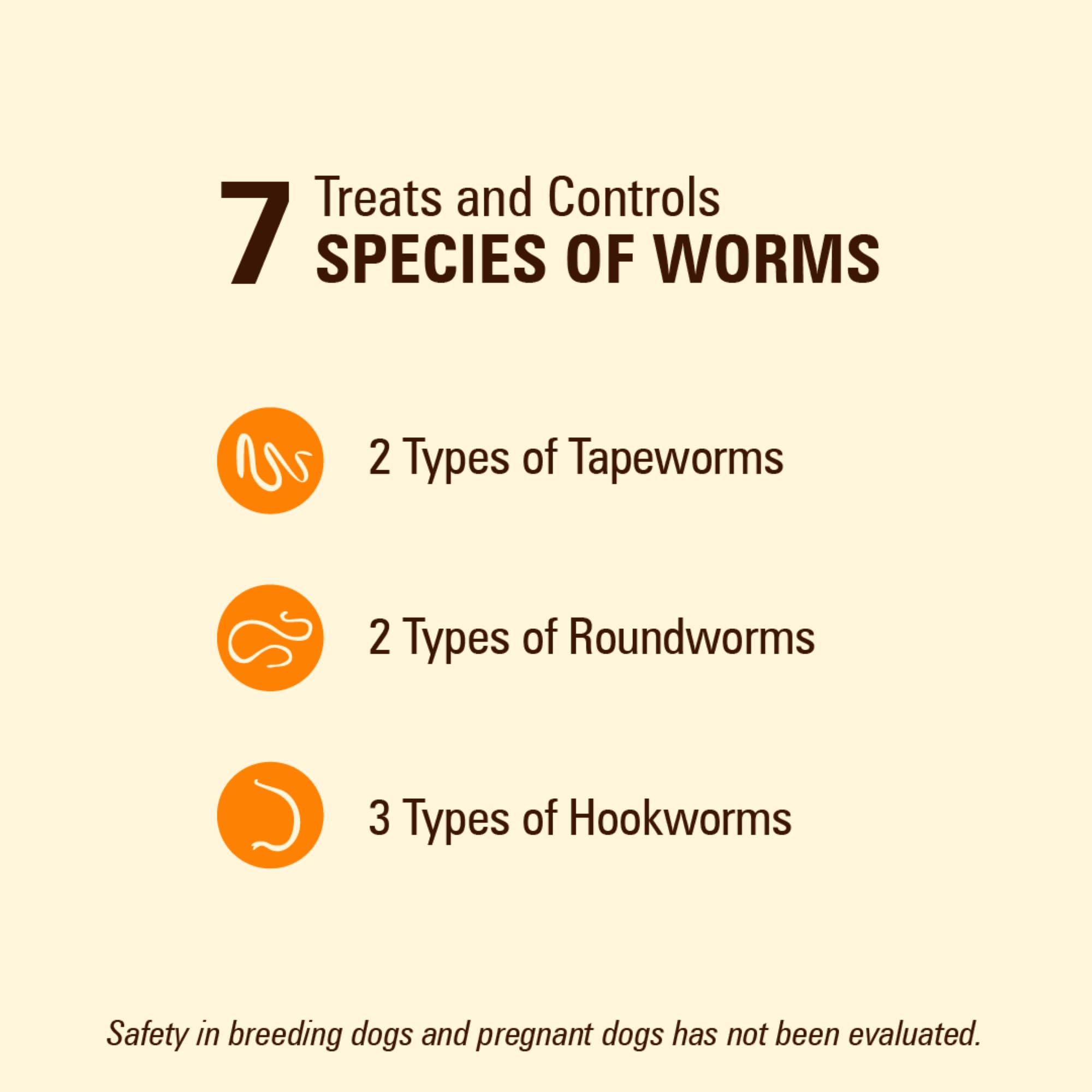 WORM X PLUS contra anquilostomos en perros.