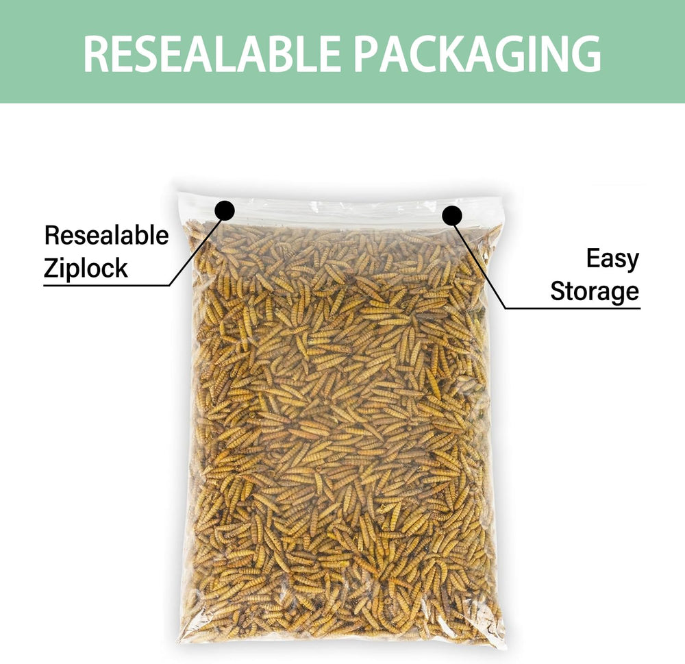 WORMSKING alimento para aves con proteína alta