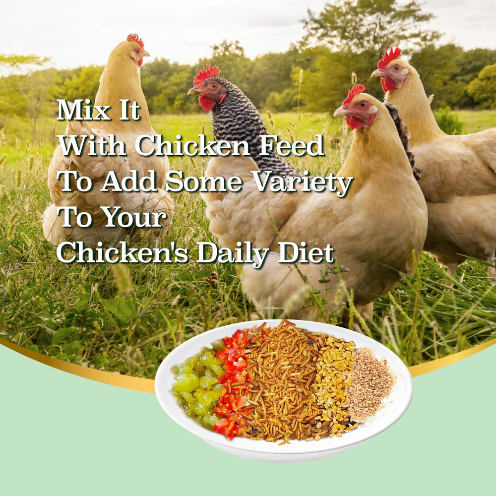 WORMSKING: alimento proteico alto para aves, ideal como suplemento