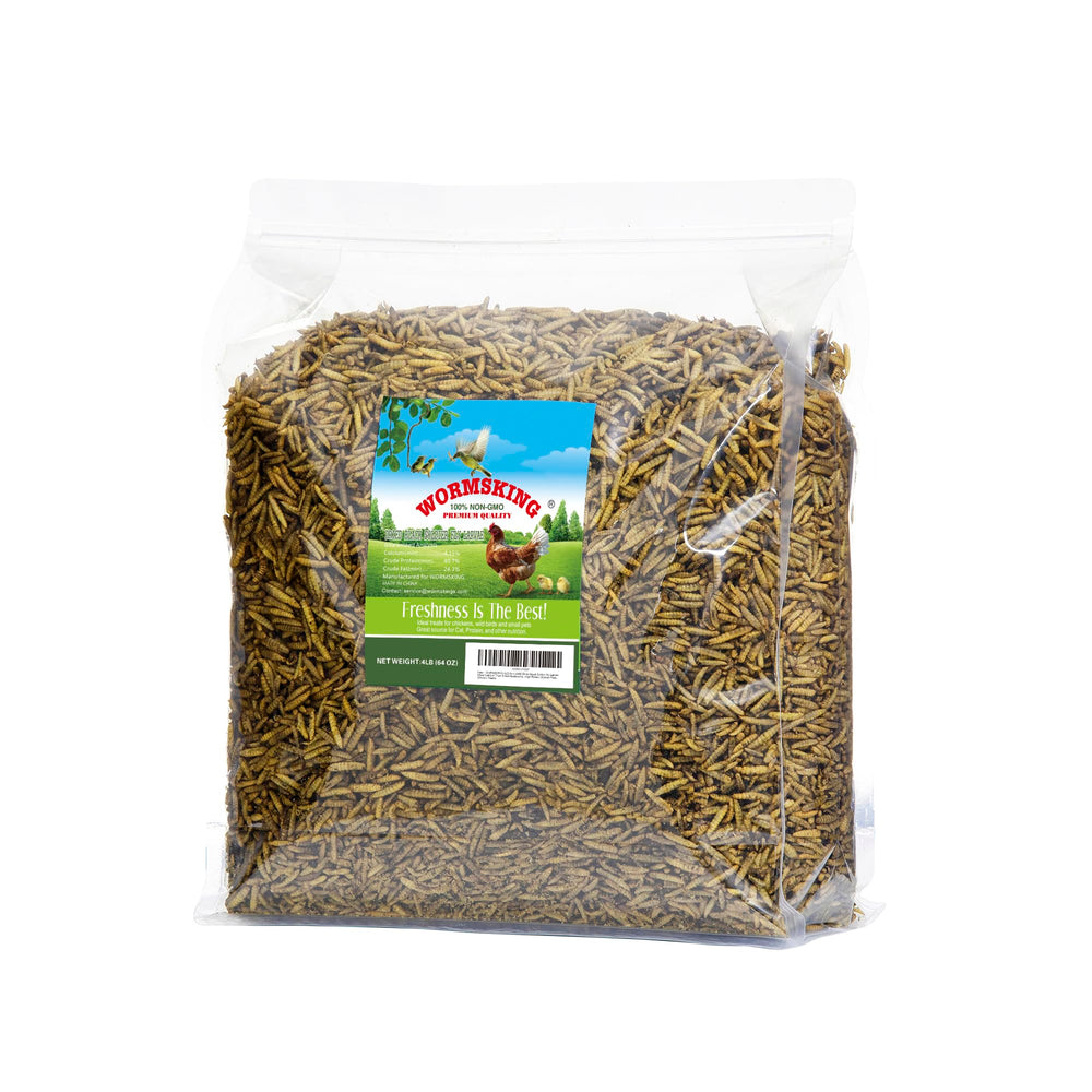 WORMSKING larvas mosca soldado negra secas, fuente de proteína para aves