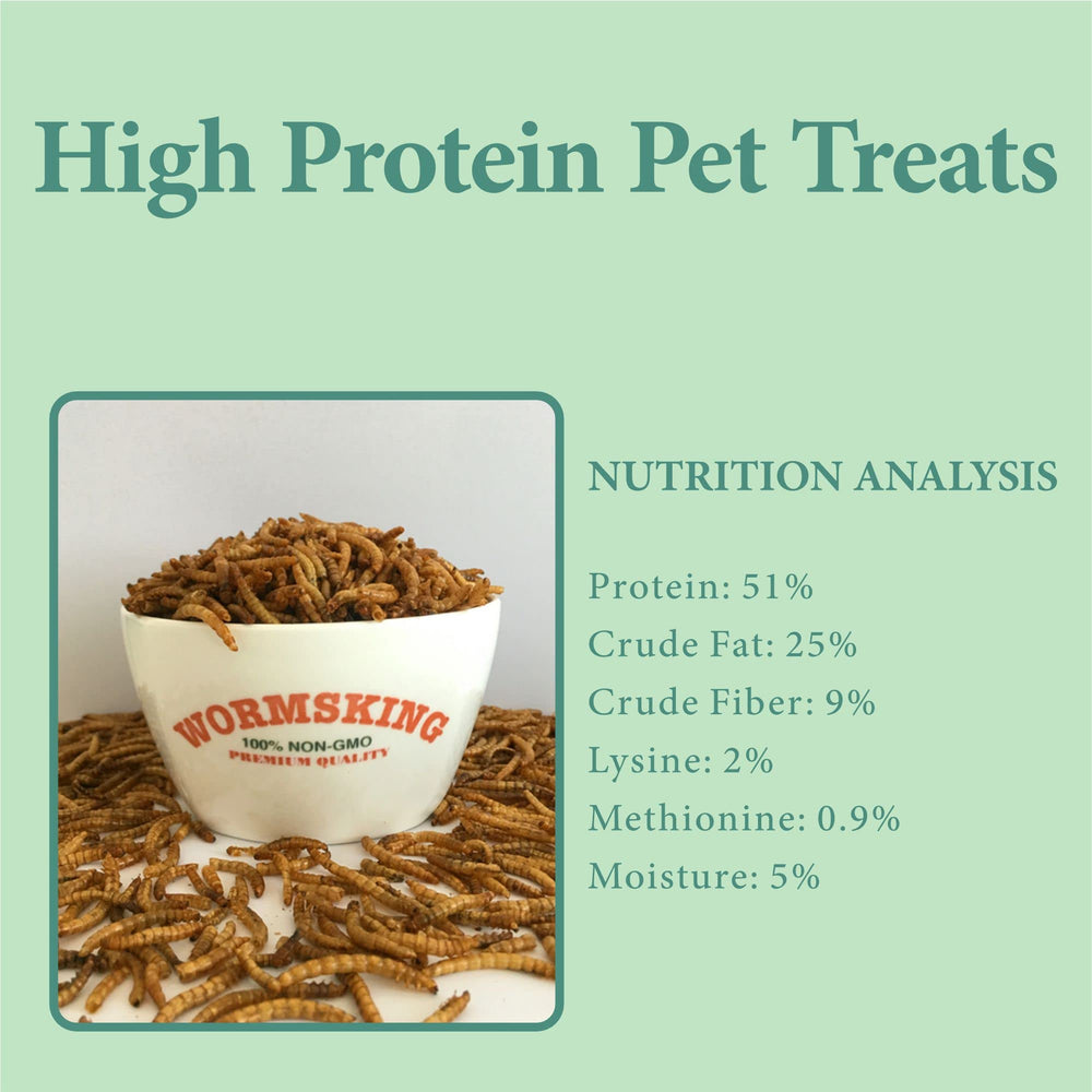 WORMSKING gusanos de harina en bolsa reutilizable, ideal para alimentar aves y reptiles.
