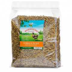 WORMSKING gusanos de harina, paquete 5lb seco, fuente de proteína para aves y mascotas.