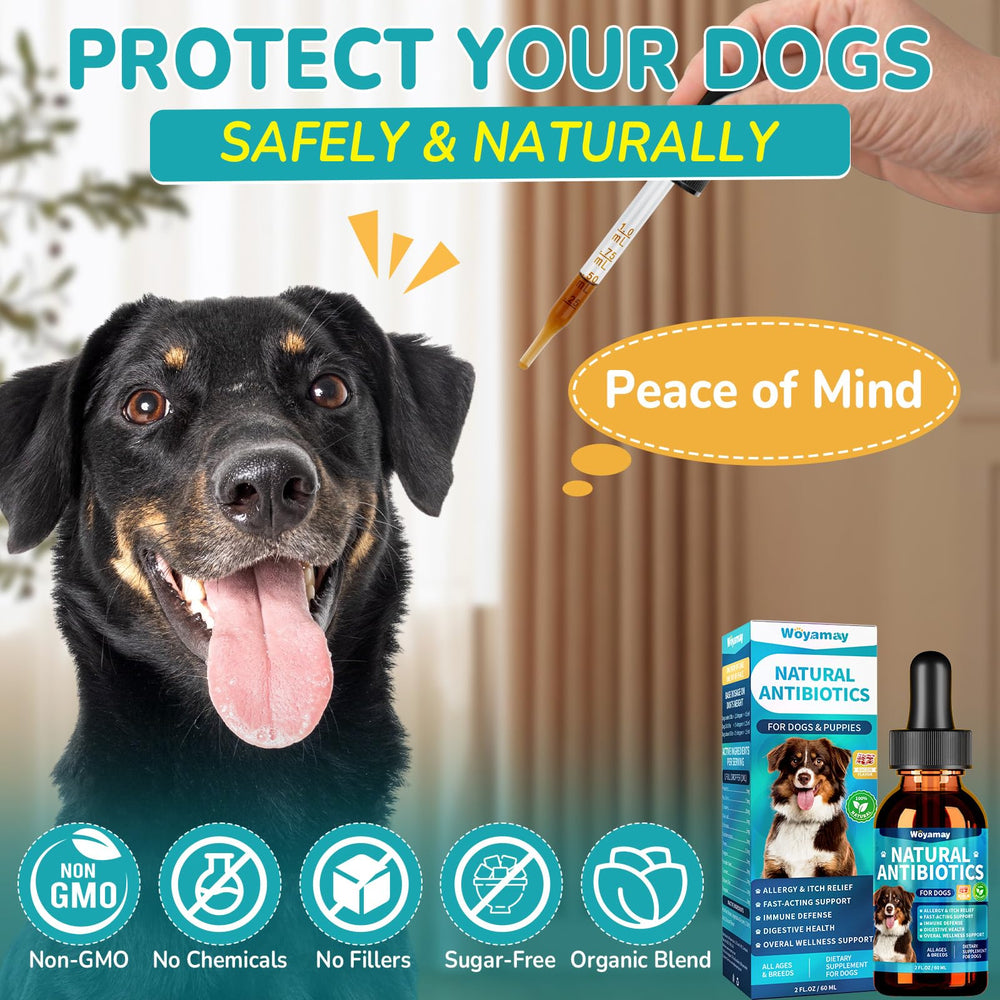 Mejora de digestión para perros gracias a la fórmula herbal de Woyamay.