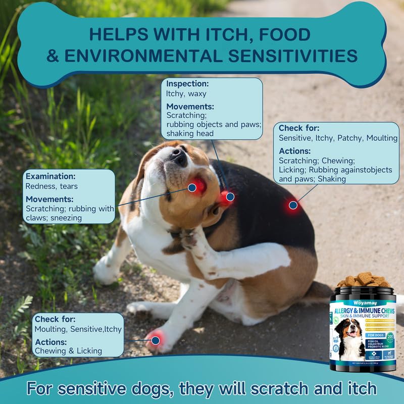 Woyamay Dog Allergy Chews: sabor pollo para facilitar administrar el tratamiento diario.