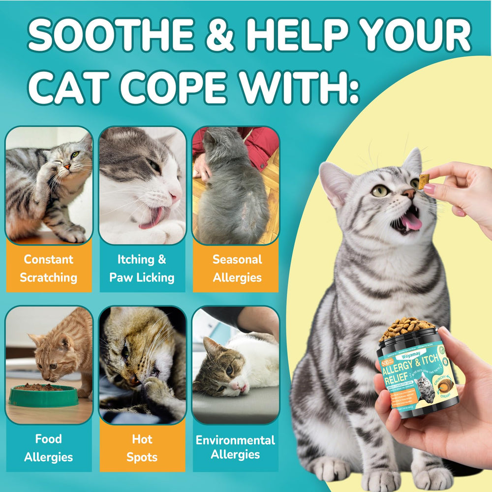 Gato recibe apoyo inmunológico con colostro y probióticos de Woyamay.