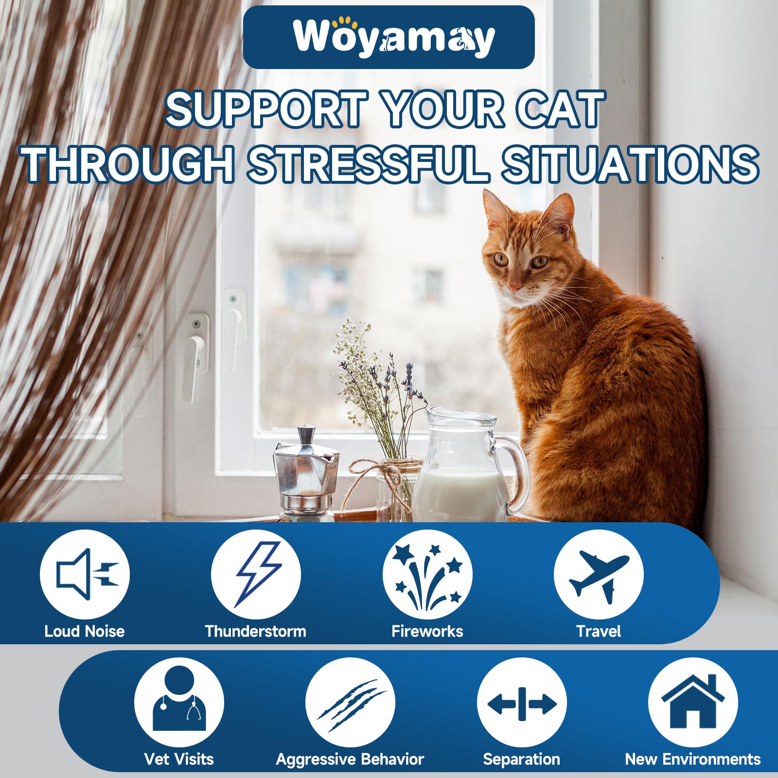 Gato relajado con premio calmante Woyamay, uso diario recomendado.