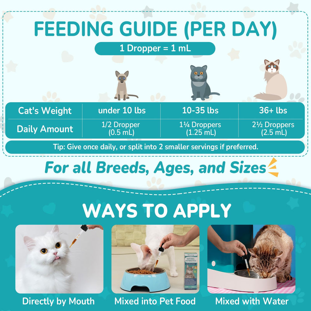 Instrucciones claras para uso diario en felinos con Woyamay.