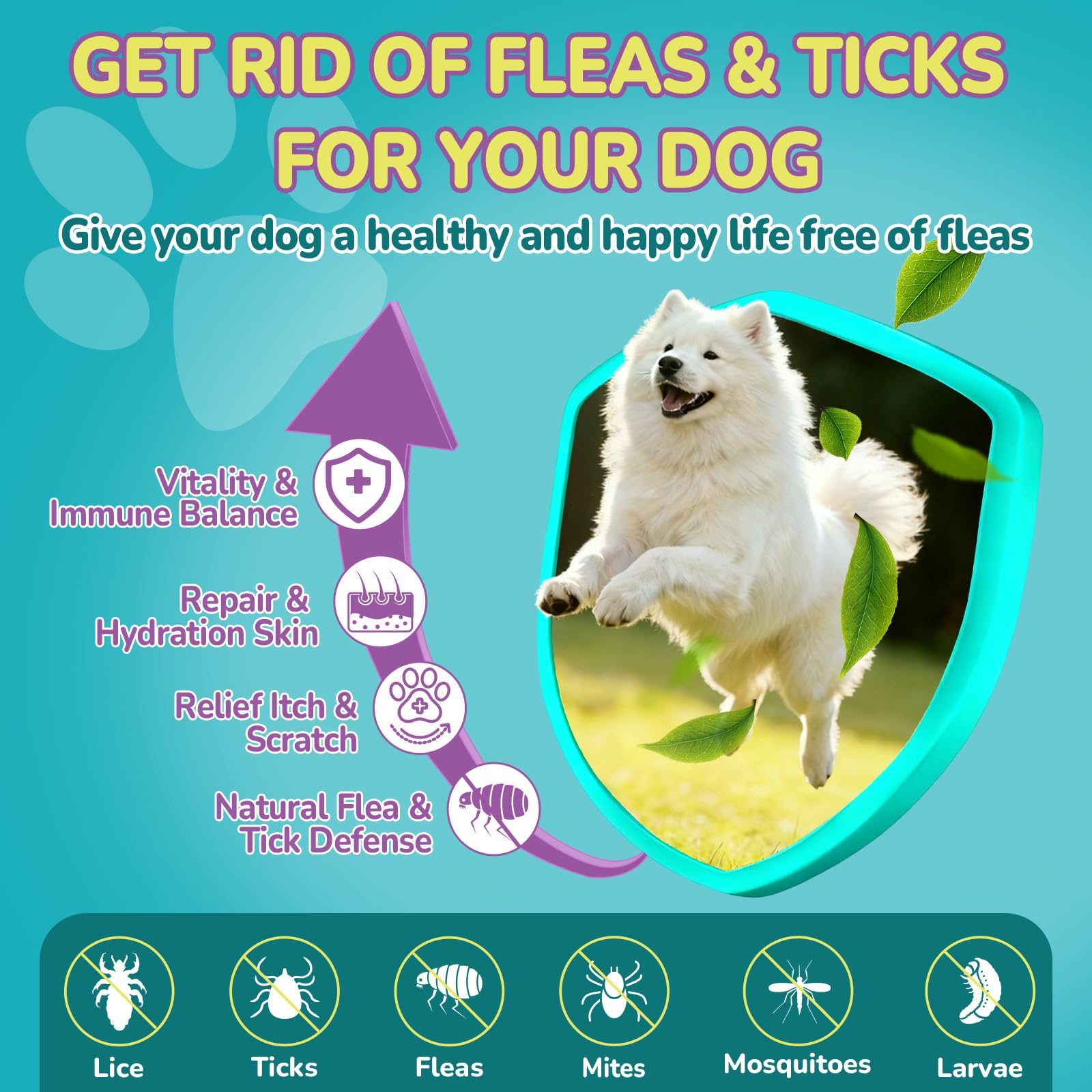 Woyamay masticables sabor pollo, palatables para uso diario en perros.
