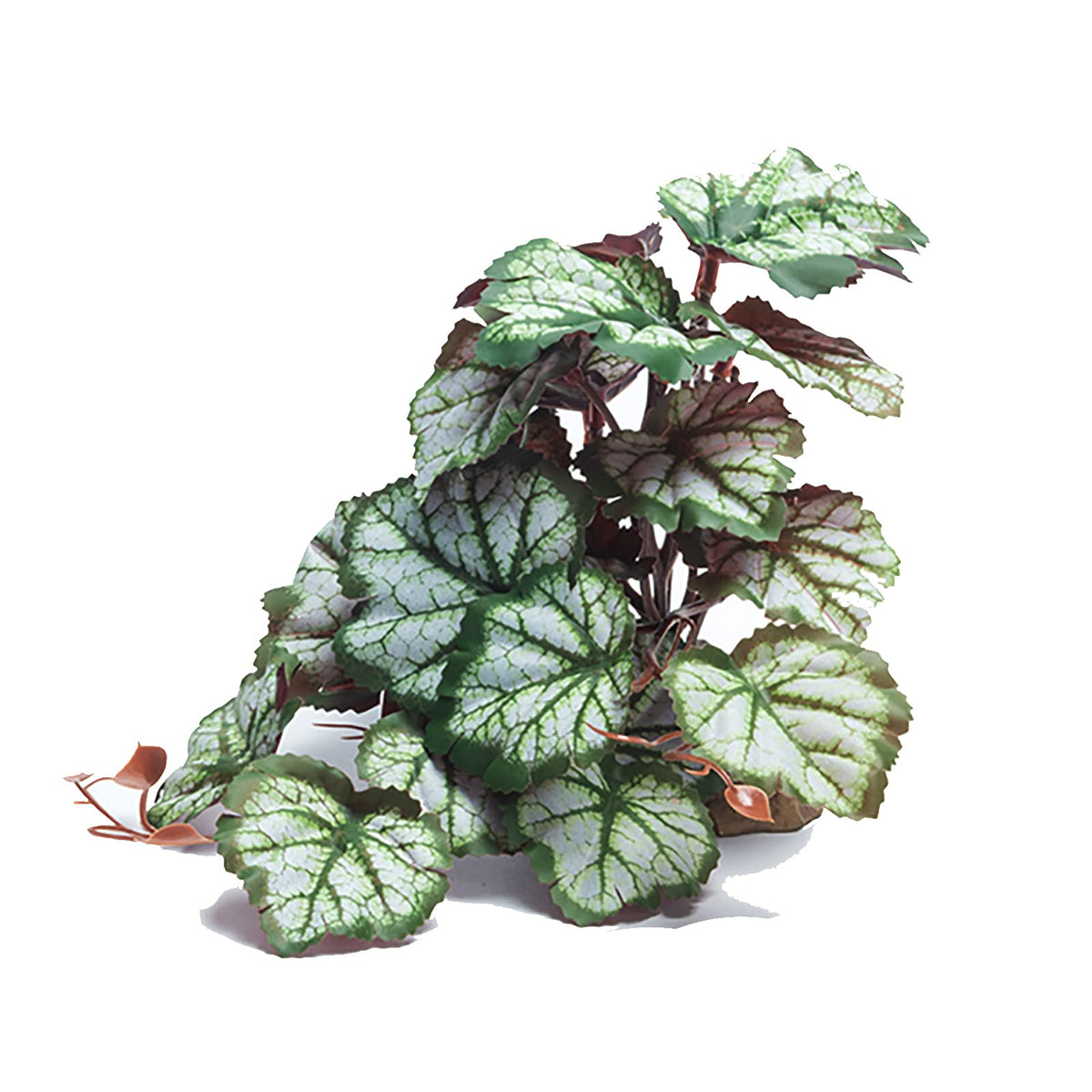 Woyrise Saxifraga: hojas de seda para terrario, aspecto natural.