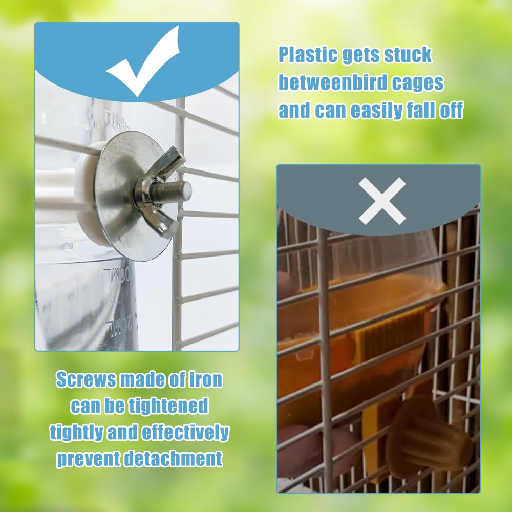 Bebedero para aves medianas WQY: adecuado para loros pequeños y similares.