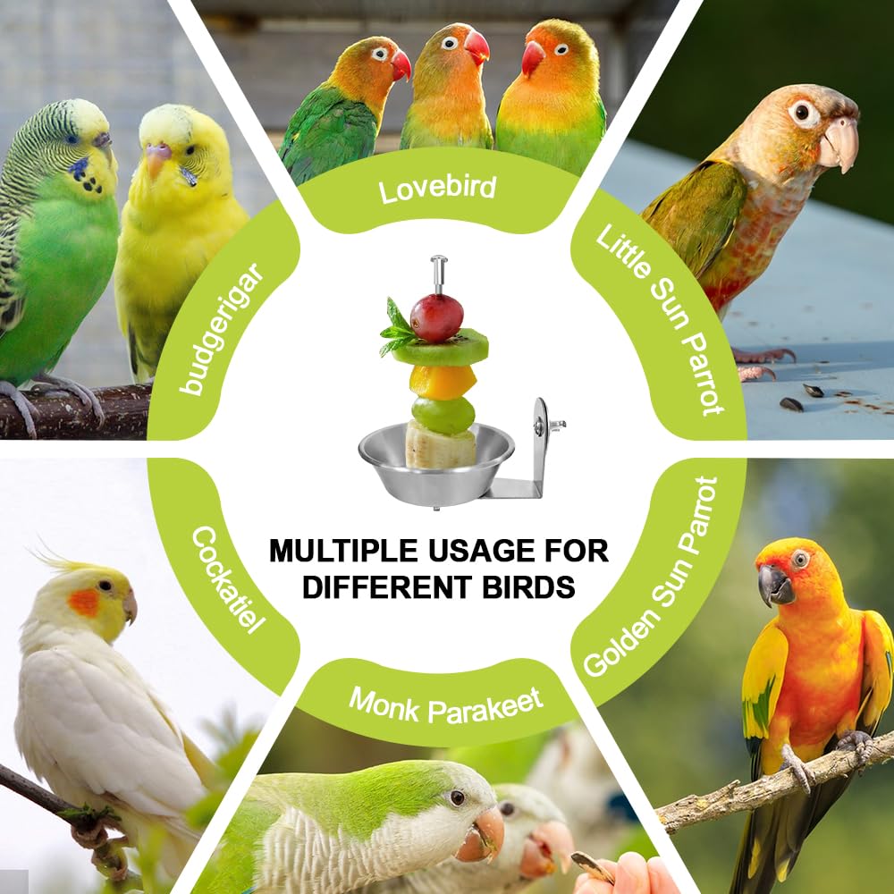 Juguete de alimentación para aves, fomenta forrajeo y entretenimiento.
